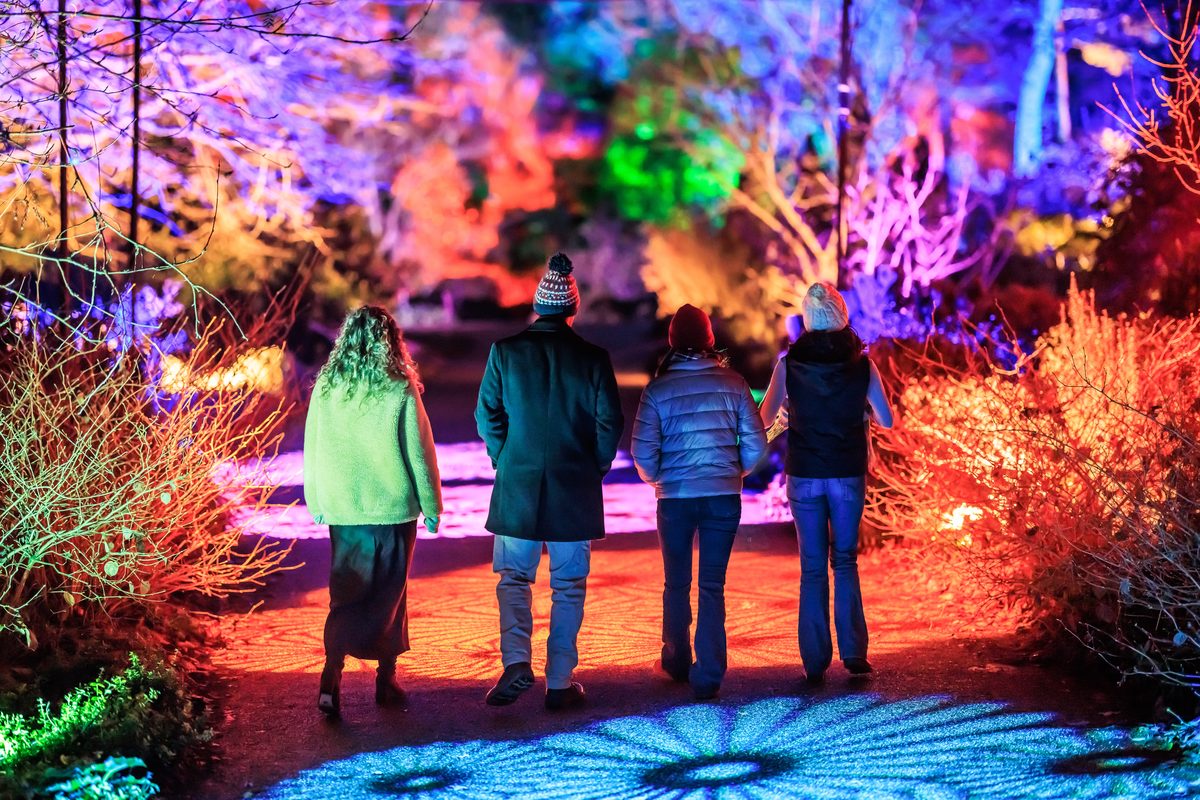 RHS Glow at Bridgewater