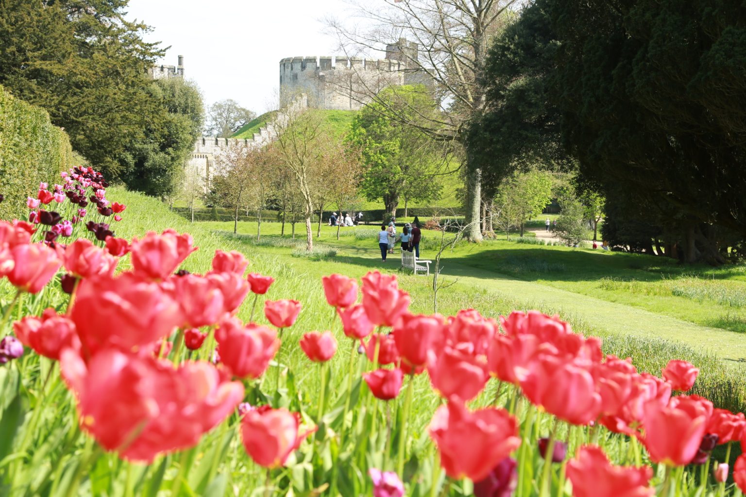 Arundel Castle & Chichester
