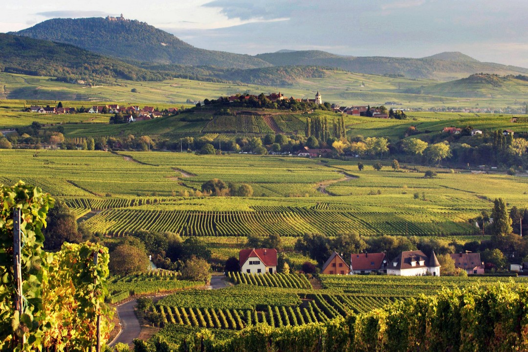 Discover the Charms of Alsace