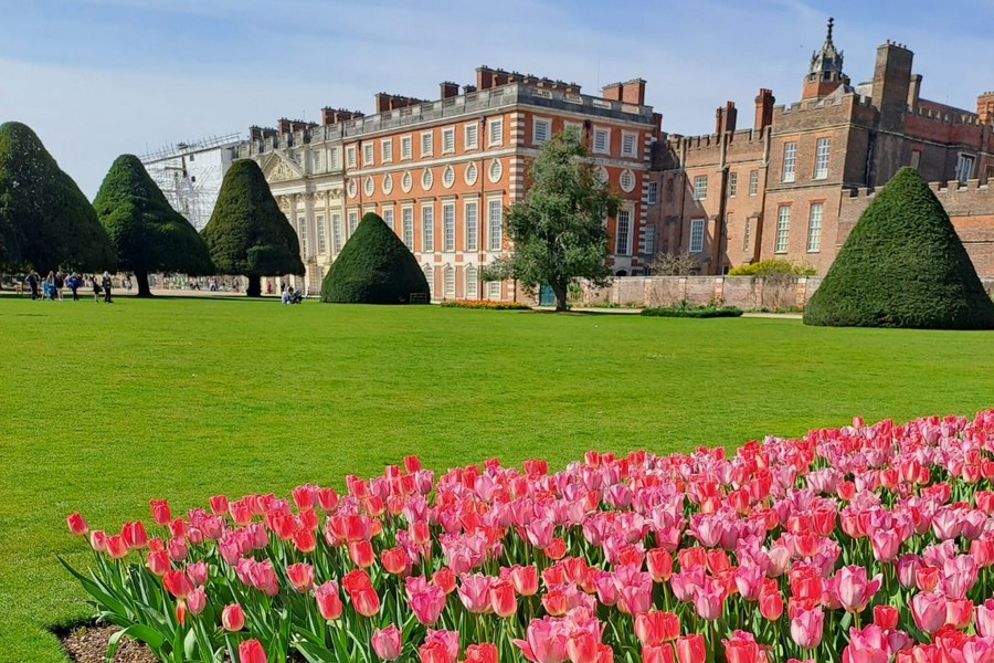 Tulip Festival at Hampton Court Palace