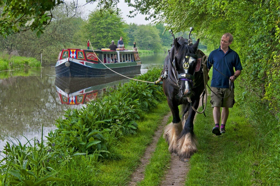 Horse Drawn Barge Cruise on Kennet & Avon Canal