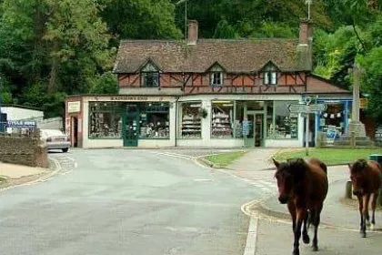 New Forest & Dorset Explorer