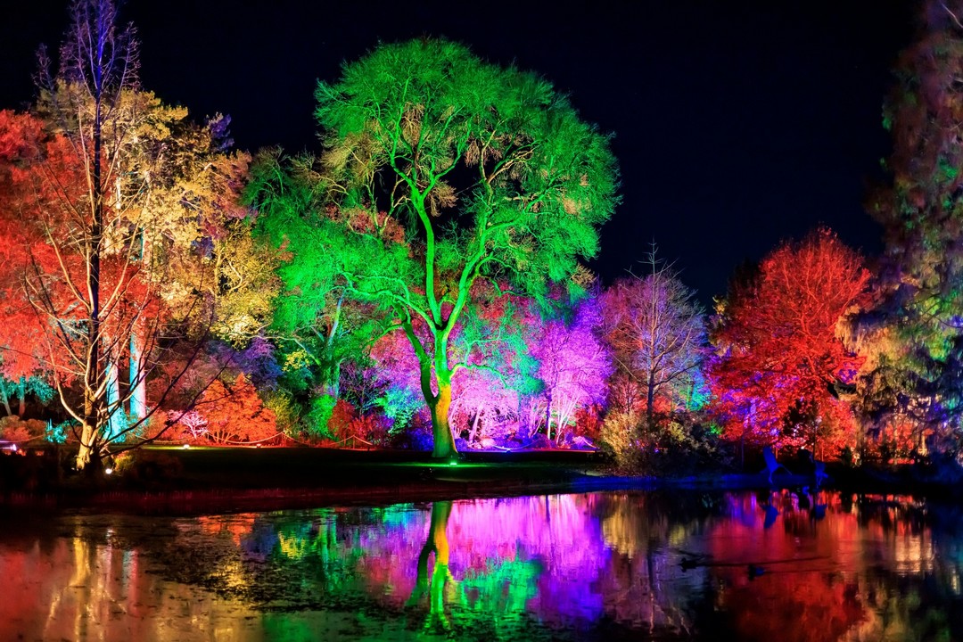 RHS Glow at RHS Wisley